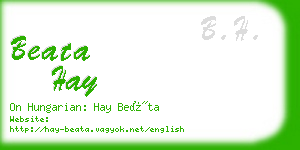 beata hay business card